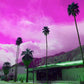 PALM SPRINGS BUS STOP  fine art print by Jackie Green